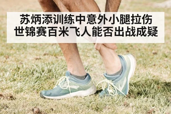 苏炳添训练中意外小腿拉伤 世锦赛百米飞人能否出战成疑