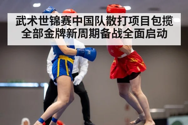 武术世锦赛中国队散打项目包揽全部金牌新周期备战全面启动