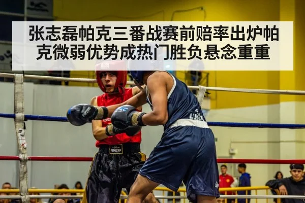 张志磊帕克三番战赛前赔率出炉帕克微弱优势成热门胜负悬念重重
