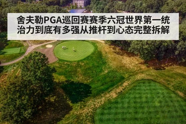 舍夫勒PGA巡回赛赛季六冠世界第一统治力到底有多强从推杆到心态完整拆解